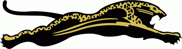Jacksonville Jaguars 1993-1994 Unused Logo DTF transfer for t shirt